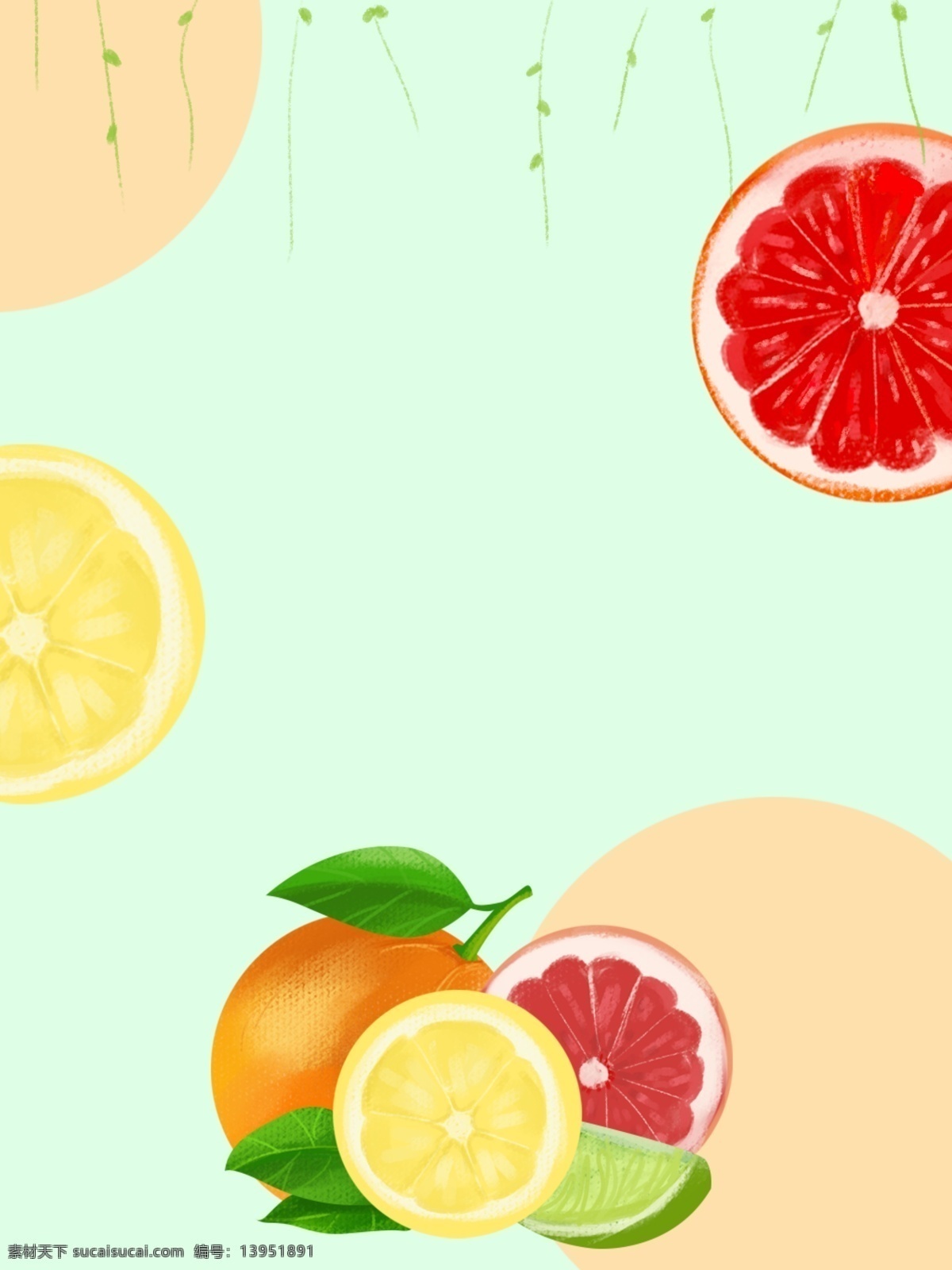 水果背景 水果素材 水果纹理 创意水果 清新背景 创意血橙 新鲜血橙 猕猴桃背景 猕猴桃纹理