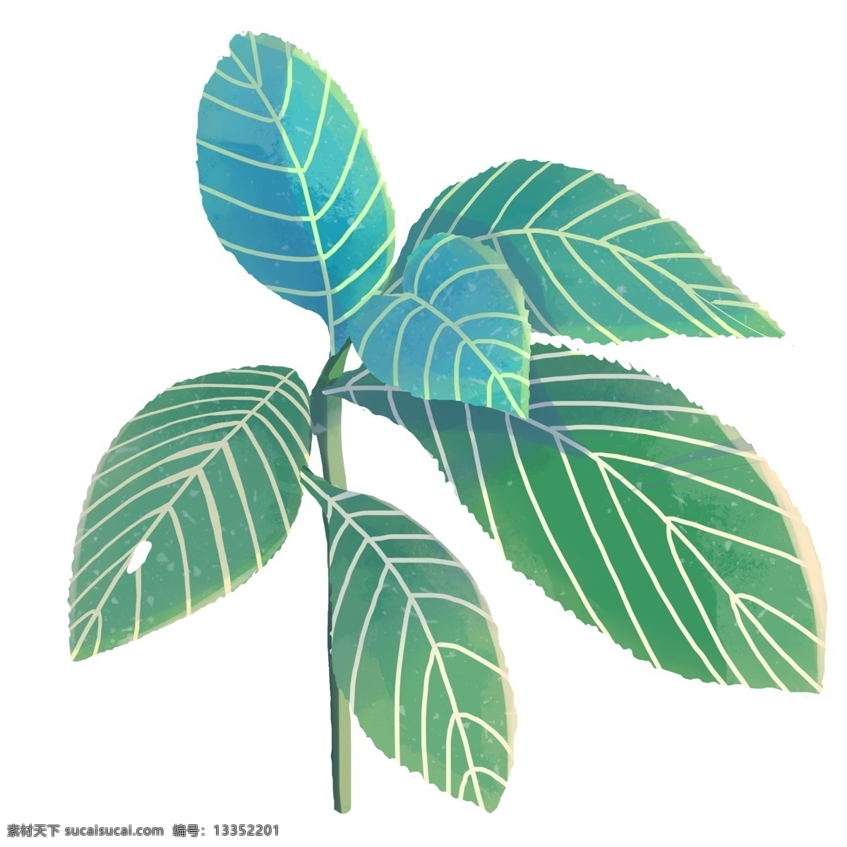 唯美热带植物 茂密植物 绿植 创意装饰