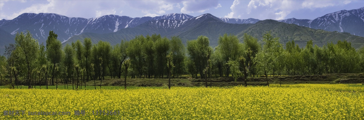 白云 风景 户外 景色 旅游胜地 麦田 美景 宁静 静态 农场 农业 山峦 山脉 树林 天空 田野 乡村 油菜 自然风景 田园风光 自然景观 矢量图 日常生活