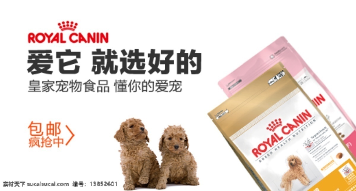 5折 狗 狗粮 钜惠 猫粮 淘宝 淘宝模板 首页 焦点 图 钻展 狗素材下载 狗模板下载 钻 展 模板下载 淘宝钻展图 品牌突出 产品突出 内容突出 信息传达 中文模板 网页模板 源文件 淘宝素材 节日活动促销