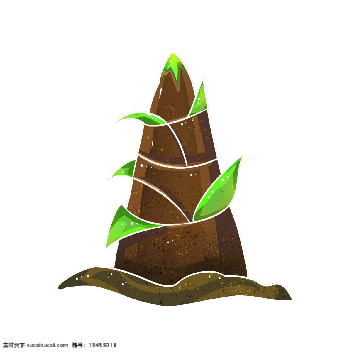 春笋 竹笋 植物 笋尖 商用 元素