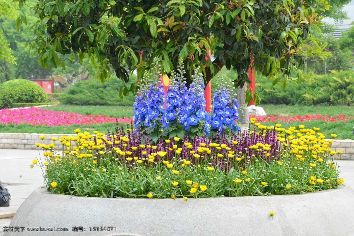 园林美景 花坛 花儿 花朵 花卉 花草 绿化景观 生物世界