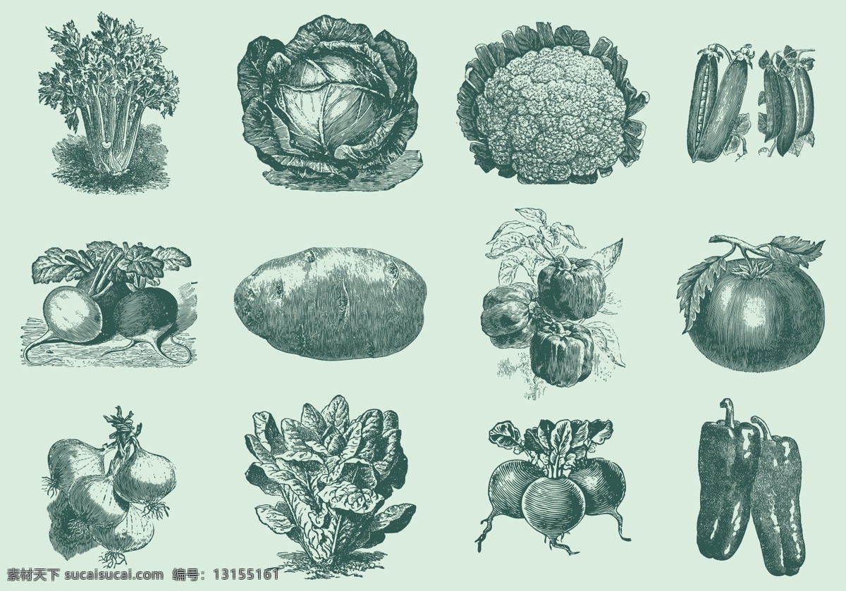 蔬菜 手绘蔬菜 西红柿 包菜 花菜 辣椒 马铃薯 芹菜 插画 鸟类 手绘鸟类 鸟 小鸟 大嘴鸟 棕榈树 树 守护鸟 花生 手绘花生 文化艺术 绘画书法