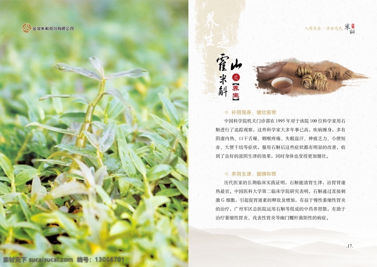米斛画册 模版下载 石斛 墨迹 水墨山水 画册素材