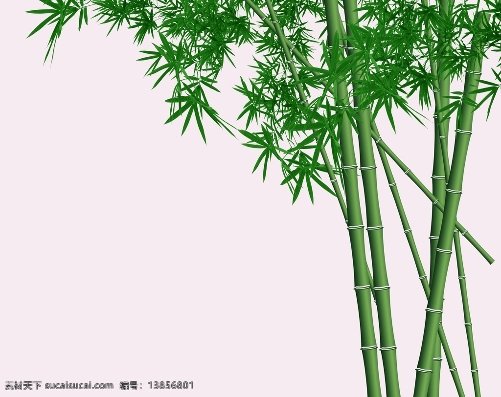 水墨竹 水墨竹子 墨竹 竹 绿竹 中国风 免抠竹子 免抠竹 竹子