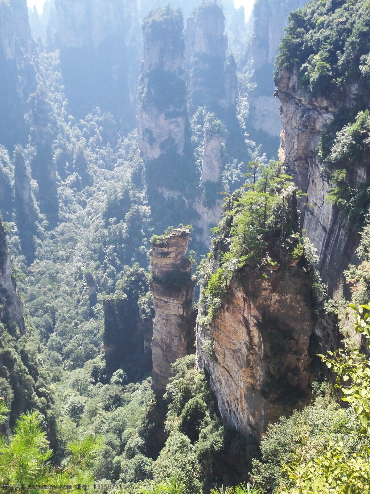 张家界 武陵源 风景 石林 武陵源风景区 张家界武陵源 张家界风景 湖南风景 园林风景 风景名胜 风景区 旅游区 绿色风景 大自然 自然风景 自然界 俯瞰 俯瞰风景 自然景观