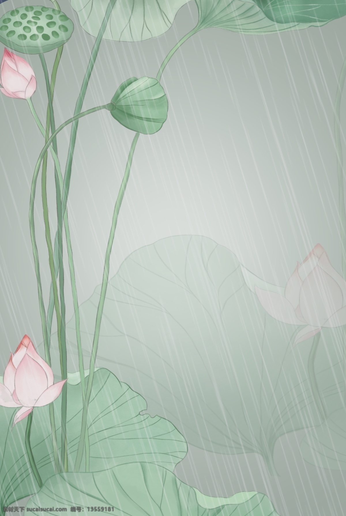清明节 荷花 文艺 雨季 广告 背景 清明