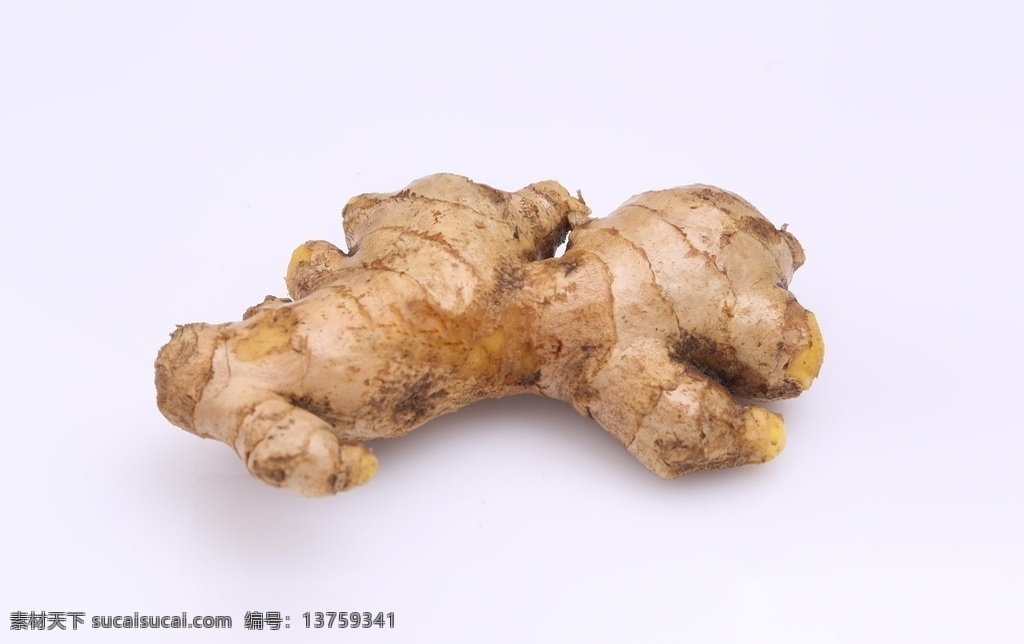 姜 生姜 姜根 百辣云 勾装指 因地辛 炎凉小子 鲜生姜 蜜炙姜 生物世界 蔬菜