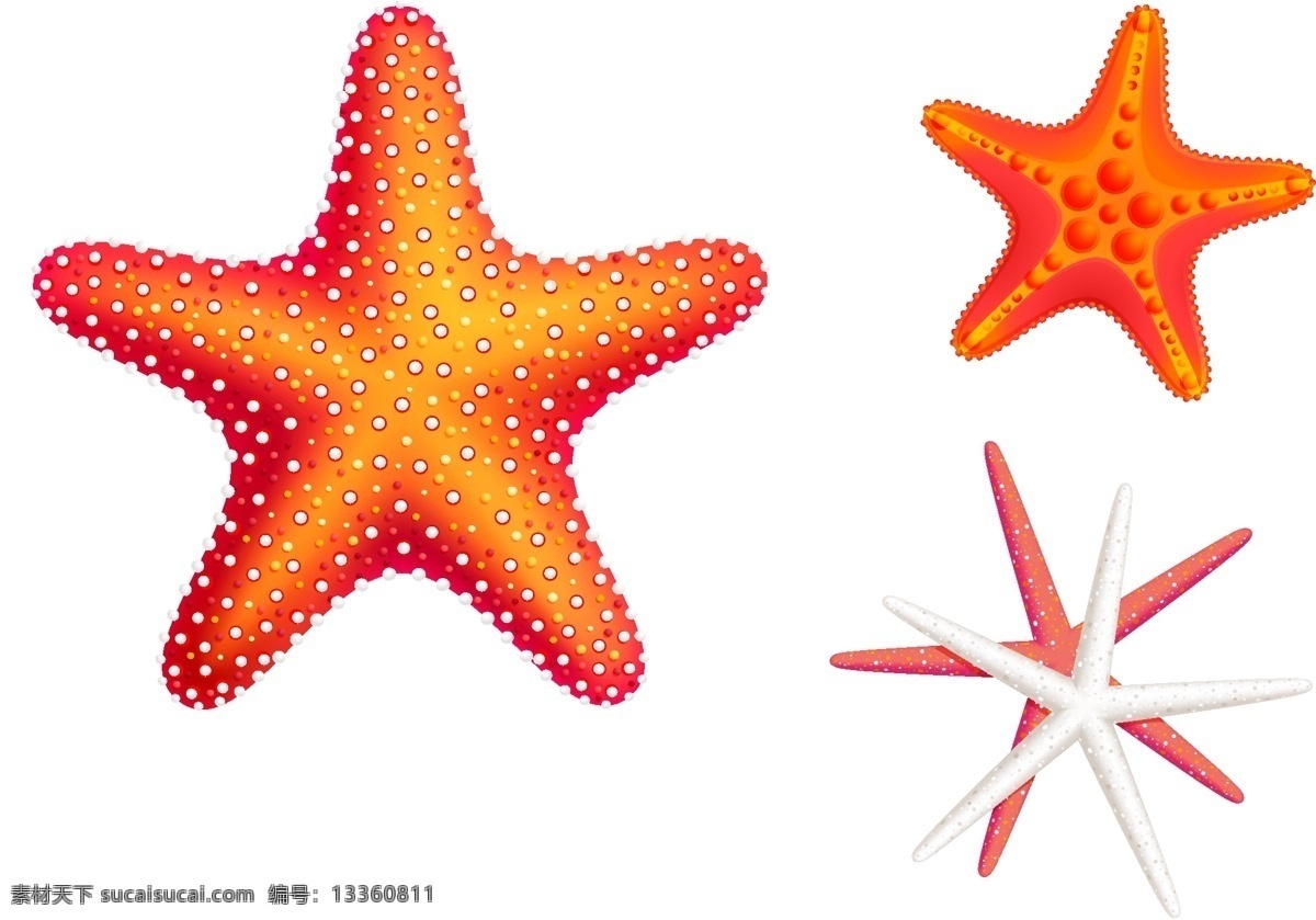 卡通素材 夏季主题元素 插画 卡通 矢量 抽象 时尚 矢量素材 手绘 夏季素材 夏季 沙滩素材 夏季沙滩素材 海五星 卡通海五星 矢量海五星 手绘海五星 海五星素材