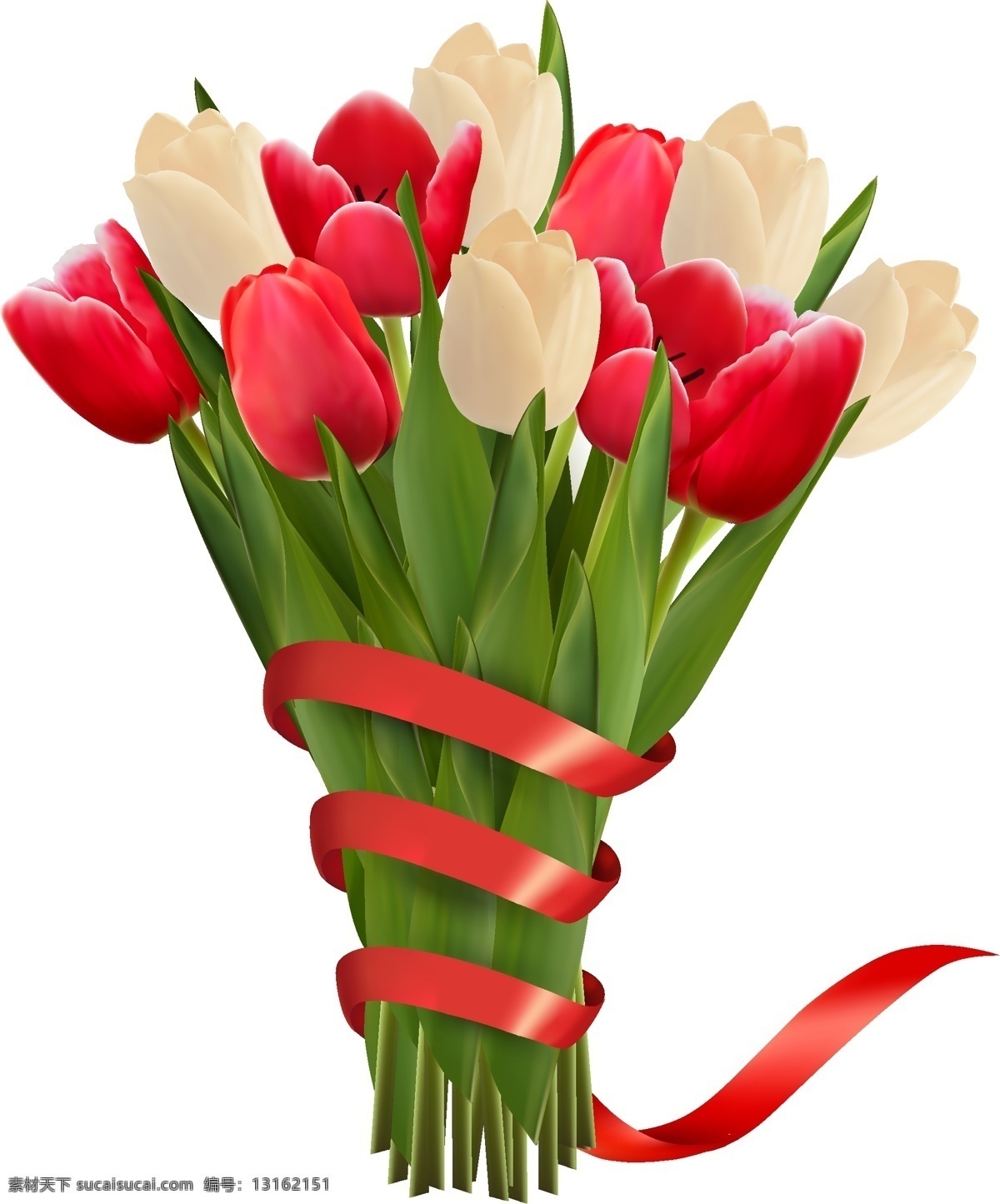 郁金香 花束 矢量 红色 丝带 围绕 花卉 高清图片