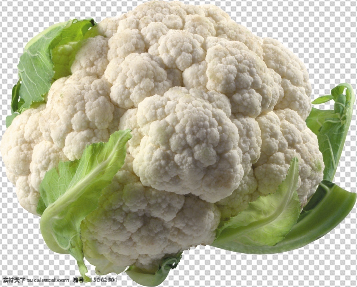 花菜图片 花菜 透明底蔬菜 免抠图 蔬菜 分层图 蔬菜特写 蔬菜写真 火锅蔬菜 新鲜蔬菜 家常蔬菜 有机食品 健康食品 无公害蔬菜 蔬菜照片 瓜果蔬菜 农家蔬菜 蔬菜水果合集 精品蔬菜 有机蔬菜 新鲜 透明背景 透明底 抠图 png图 生物世界 分层 蔬菜透明底