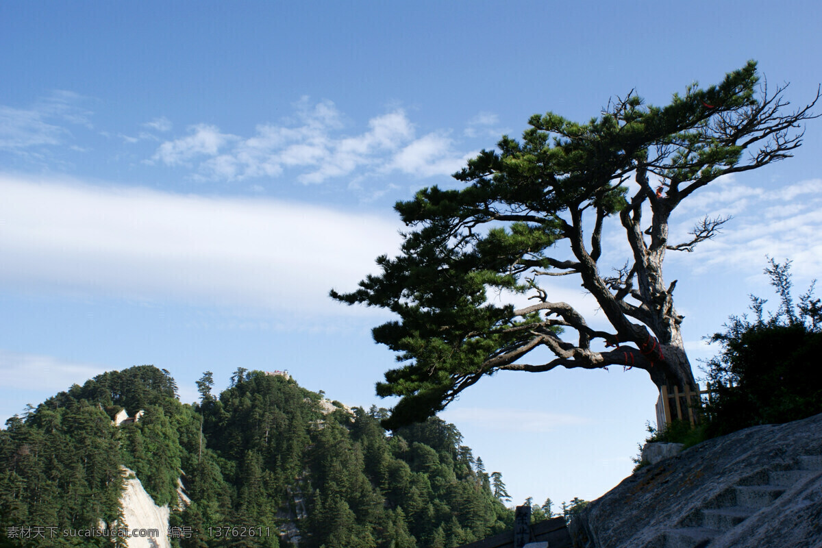 华山 风景 山景 旅游 景区 名山 西岳 华山风光 山峰 险峻 山岭 山石 云雾 寺庙 房屋 树林 松树 清新 天空 名山风光 国内旅游 旅游摄影