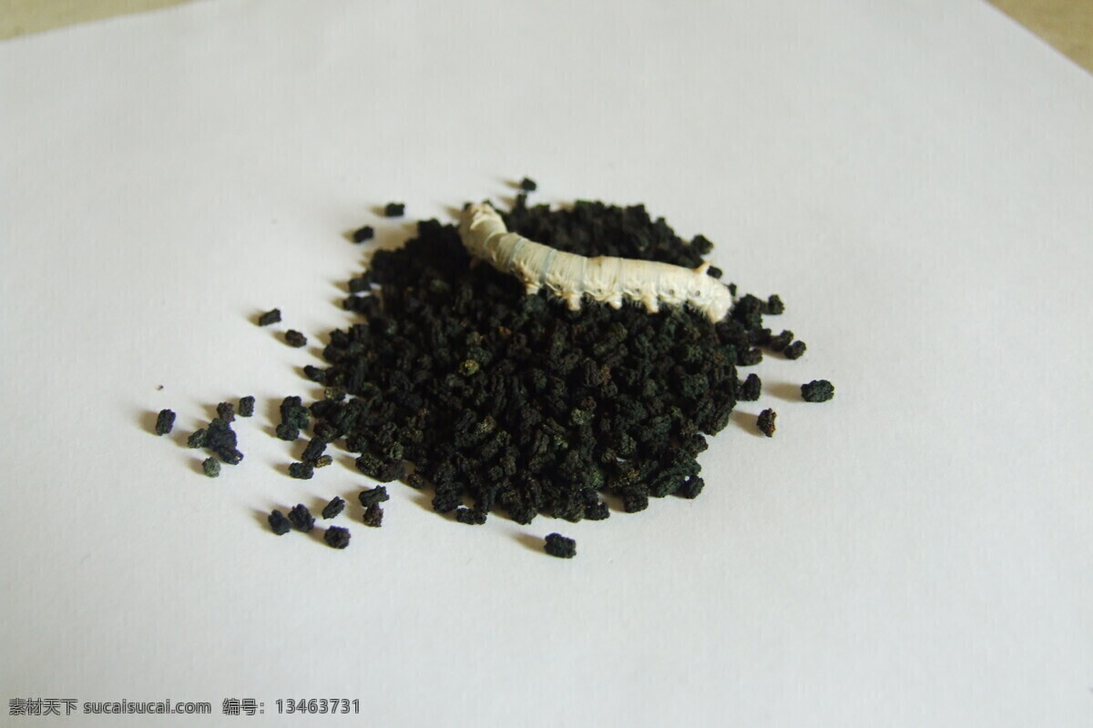 蚕沙 昆虫 生物世界 蚕宝宝