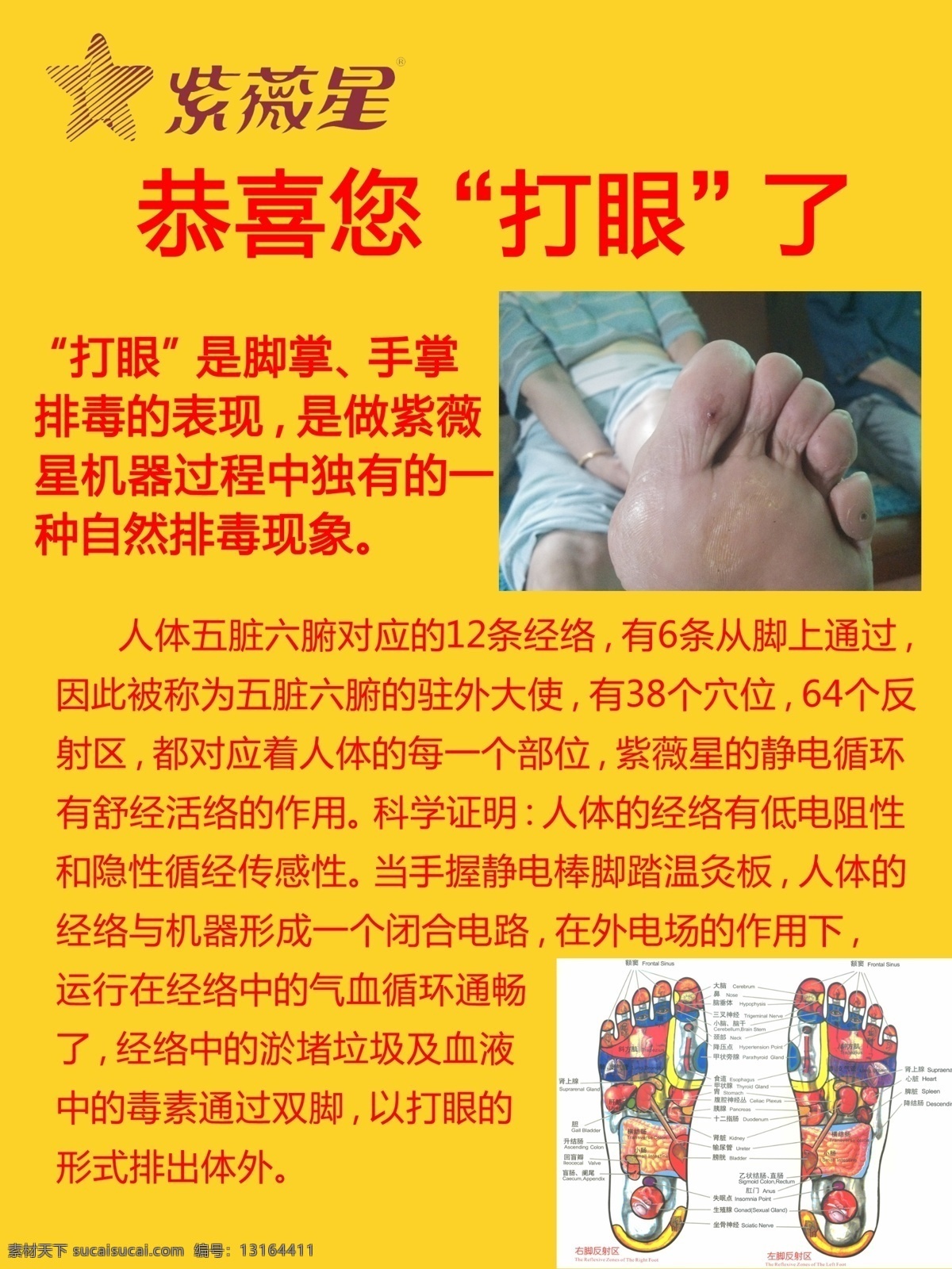 恭喜你 打眼了 打洞了 排毒了 紫薇星 十大功能 王中王 01sg 多功能 打眼 打洞 排毒 足底 理疗仪 紫微星 蛋白 展板 海报 张元彬 彩页 产品 宣传 成立 盛典 红色 底板 张元斌 模板 保健 疗养 电子 养生 分公司 商标 李南华 张爱新 姚汉明 山东 广州 有限公司 绿澳 海豹油 奶蓟草 展板模板