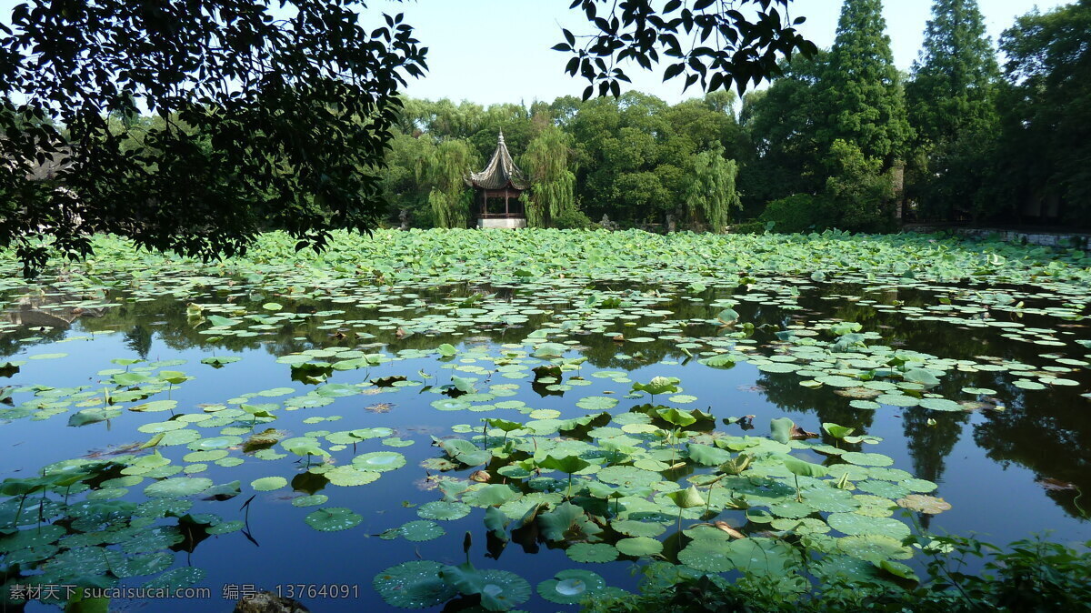南浔 夏日 小莲庄 浙江 古镇 夏天 荷花 自然风光 山水风景 自然景观