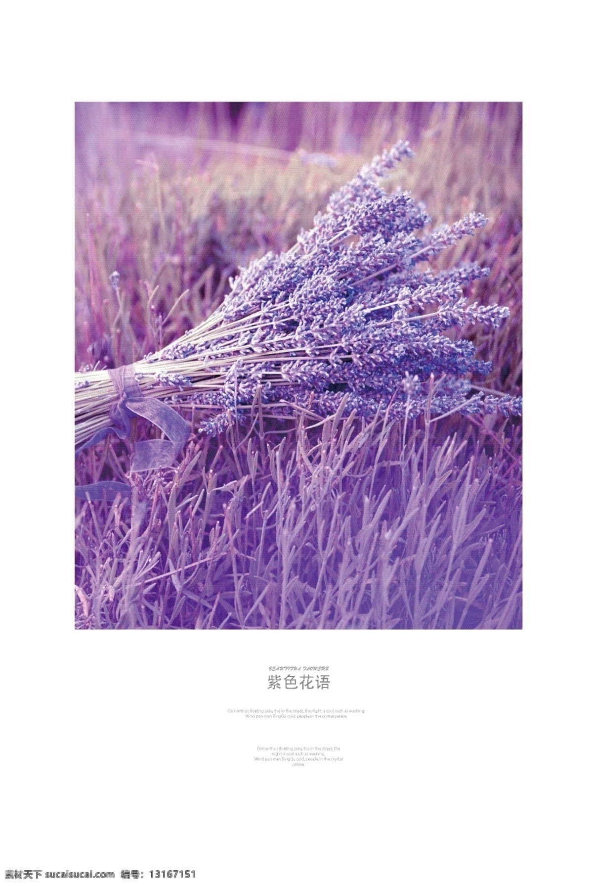 北欧 小 清新 彩色 创意 图案 装饰画 薰衣草 字母 抽象 不规则图形 绿色植物 时尚 线条 花朵 现代简约 水彩画 装饰画背景 装饰画展板 现代风展板 现代素材 北欧风格 北欧展板 北欧素材 风景背景 背景展板 欧式 三联画 复古装饰画 建筑装饰画 明信片 酒店 餐厅 酒吧装饰画 客厅卧室 书房装饰画 绘画素材 现代 简约 文化艺术 绘画书法