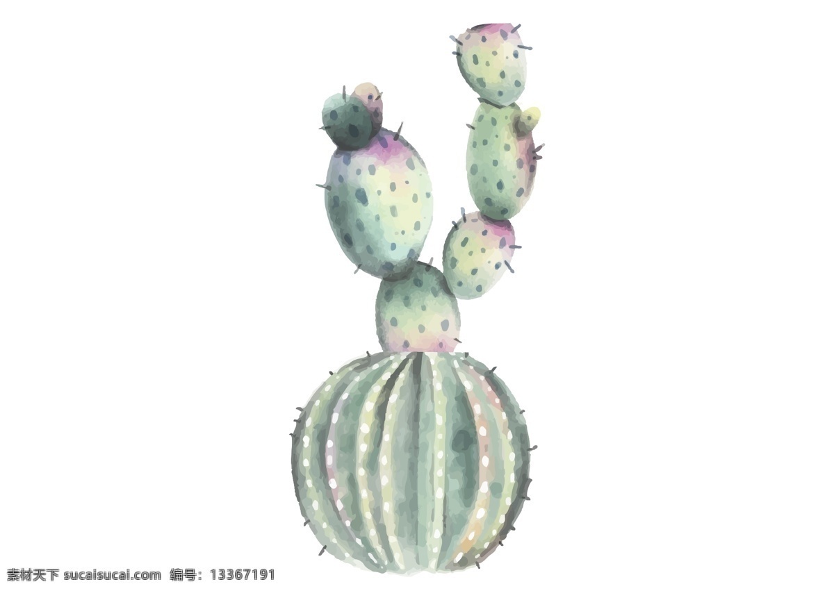 淡色 水彩 仙人掌 植物 多刺植物 多肉植物 绿色 绿植 创意 观赏 花艺 园艺 园林