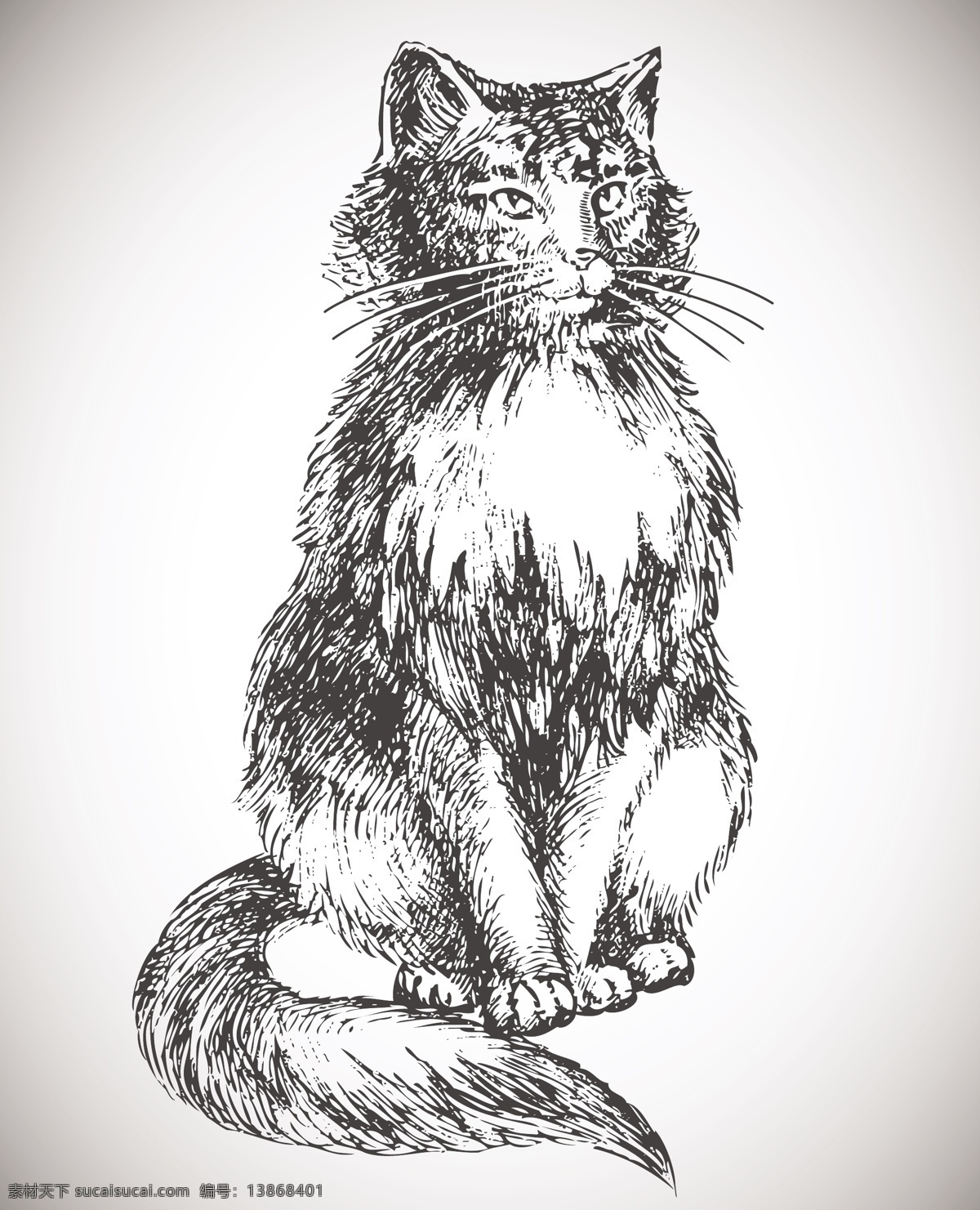 线描猫 猫 手绘动物 手绘 线描 素描 狼 手绘狼 矢量 美术绘画 文化艺术