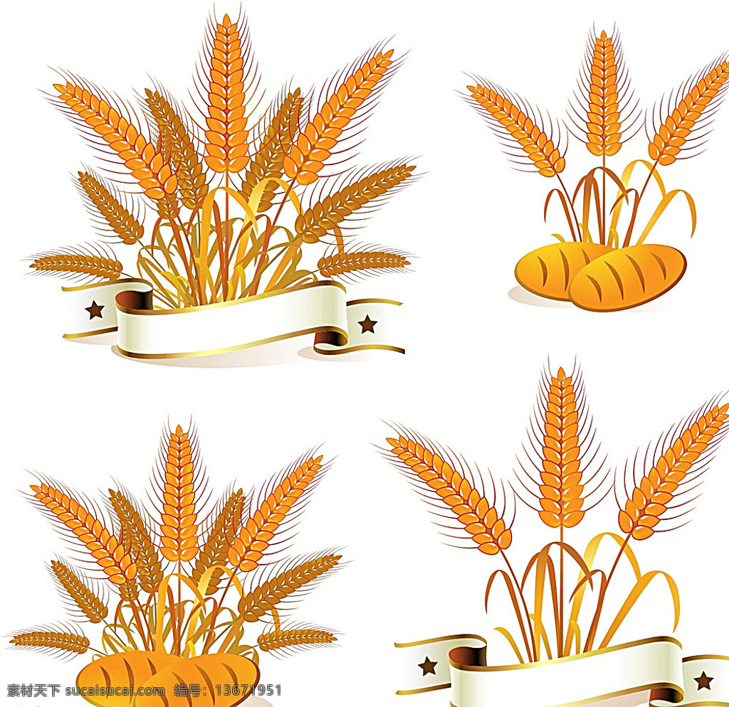 小麦 各种小麦元素 麦穗 面包 面食 粮食 农作物 食物 农业 麦子 稻田 白色
