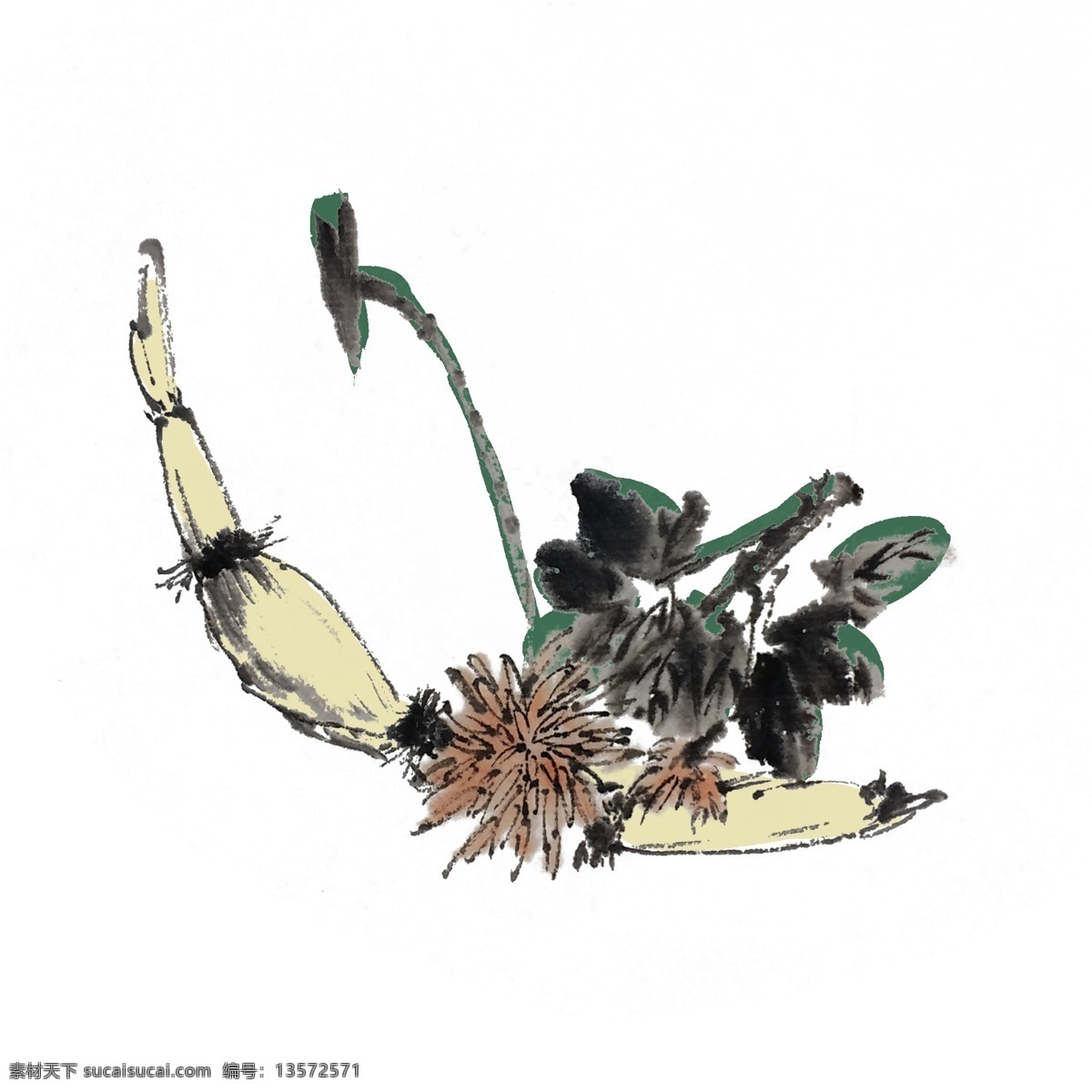 水墨 莲藕 手绘 插画 夏季 莲菜 夏天 清凉 水果 中国风 古风 水墨风 墨迹 彩色 生动 国风 国画