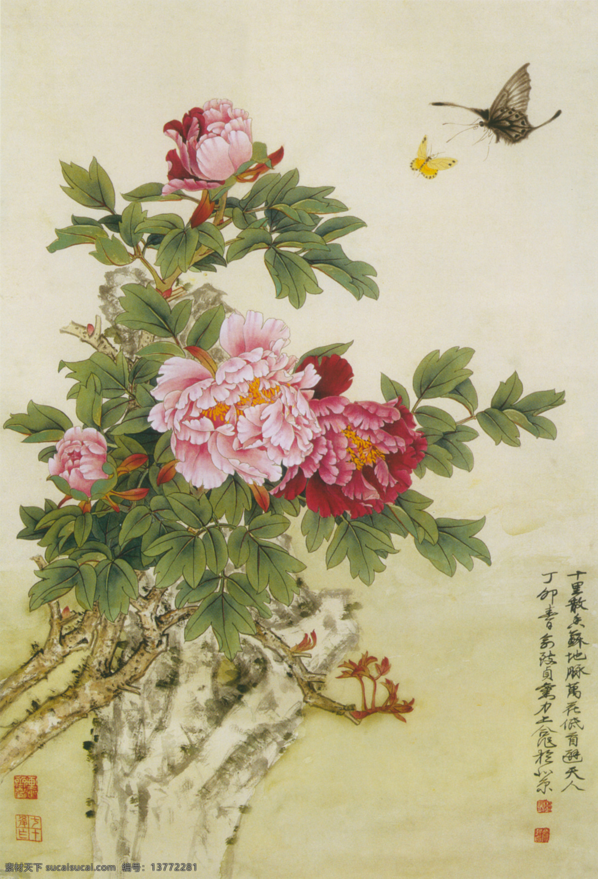 春风 春风图 蝶 蝶恋花 国画 国画风格 国画牡丹 国画牡丹花 牡丹花 作品 梅花 春风蛱蝶图 春风贺喜 春风沉醉 蝶戏 梅花贺卡 梅花图片 梅花艺术字 梅花和鸟 psd源文件