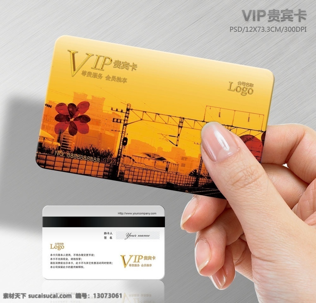 个性 时尚 vip 会员卡 vip卡 贵宾卡 vip贵宾卡 vip会员卡 贵宾卡设计 会员卡设计 精品会员卡 古典 贵族 时尚会员卡 卡片设计 欧式花纹 怀旧 vip卡设计 美容美发 美容卡 美发卡 欧式贵宾卡 赠卡 购物卡 礼品卡 充值卡 精品卡 个性卡 城市建设 卡通动漫 颓废 分层 源文件