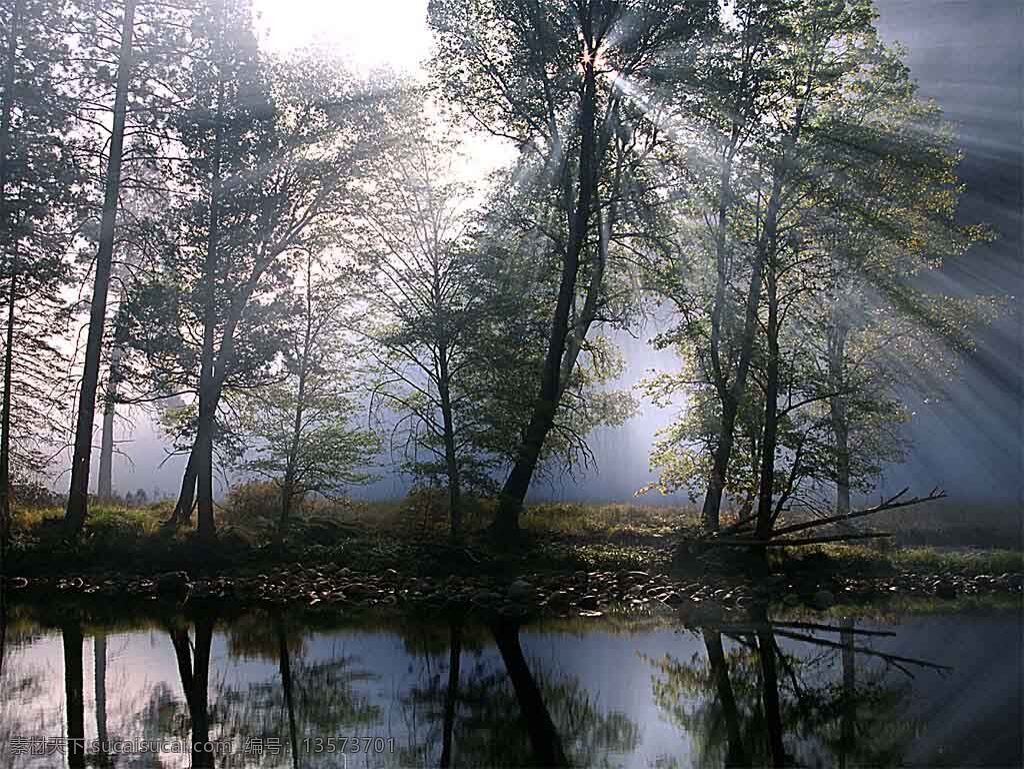 自然美 傍晚 风景 花 画卷 景观 树 天气 早晨 自然 美 生活 旅游餐饮
