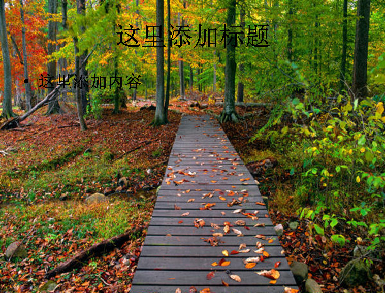树林落叶 风景 自然风景 模板 范文