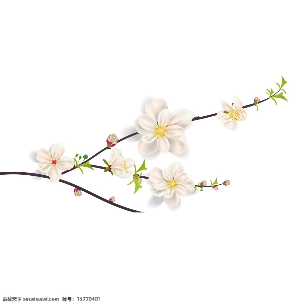 花枝 唯美 元素 植物 免抠 花朵 树枝 装饰元素