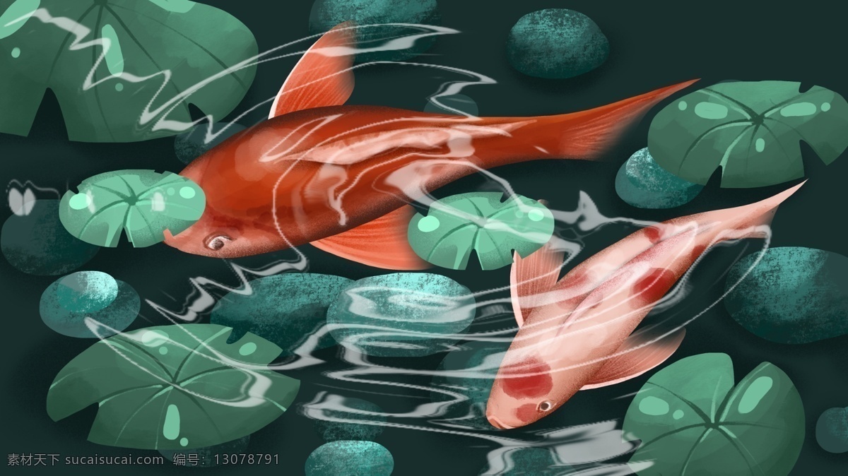 下 条 锦鲤 就是 写实 荷叶 中 穿梭 插画 鲤鱼 石头 水波纹 温馨 青苔 宁静 禅意