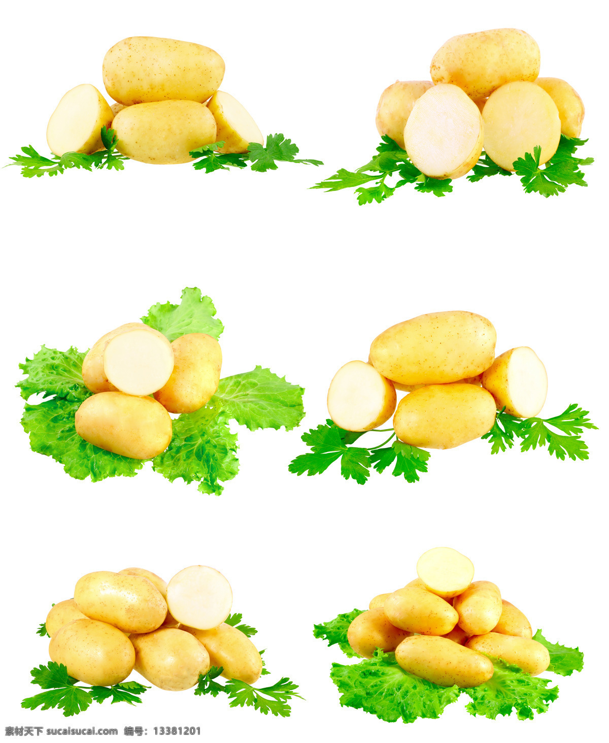 新鲜 蔬菜 食物 可口 土豆 蔬菜图片 餐饮美食