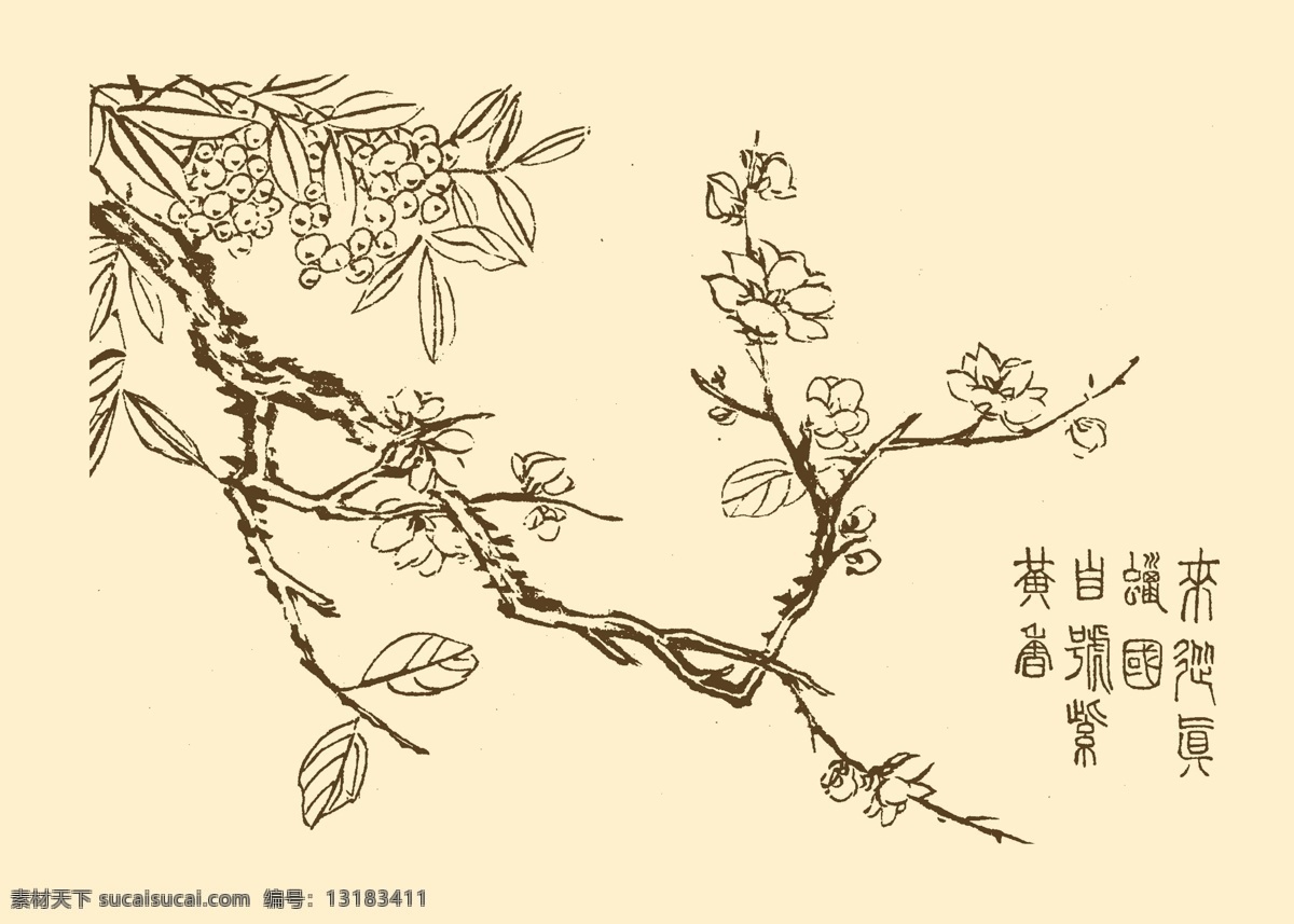 芥子园画谱 花卉 山水 国画 中国画 水墨画 写意画 花草 植物 分层 源文件