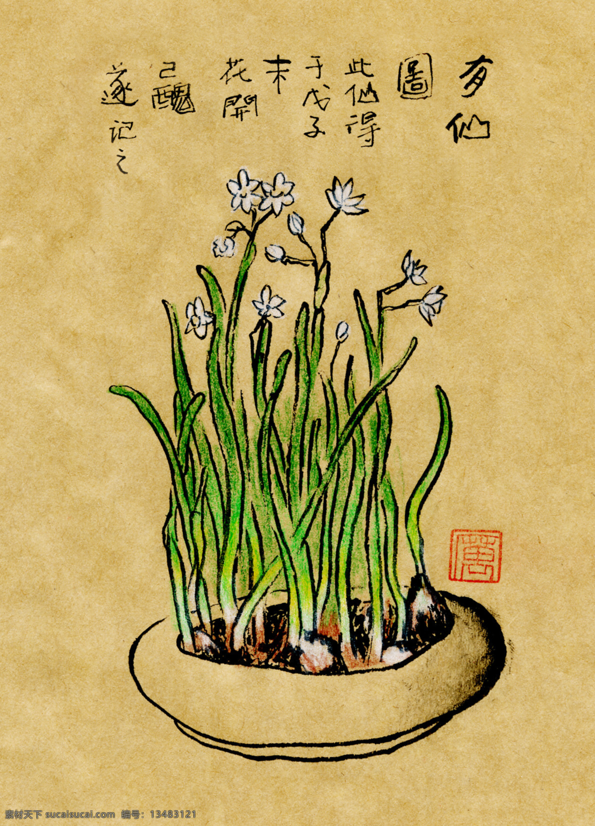钢笔画 水仙花 插画 绘画书法 绿植 牛皮纸 盆栽 文化艺术 钢笔画水仙花 插画集