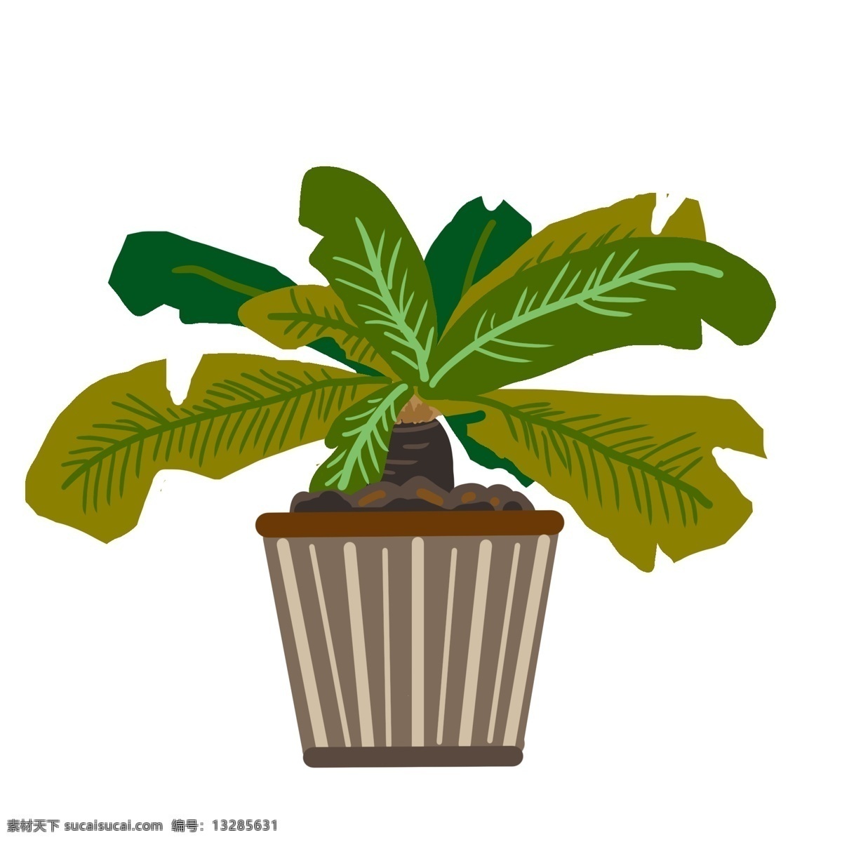热带树木植物 热带树木 植物 绿叶