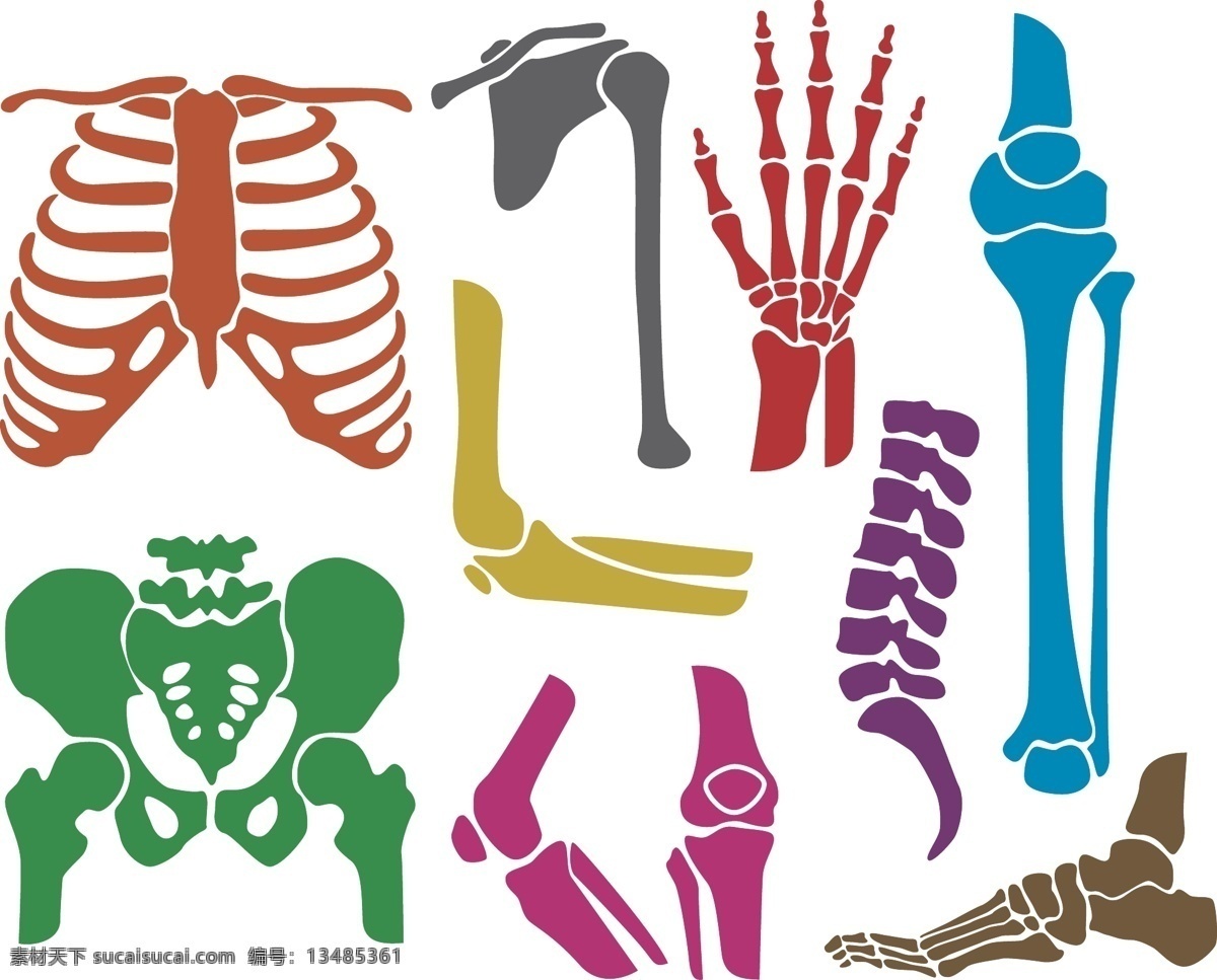 骨头 设计图 彩色 红色 绿色 矢量图 其他矢量图