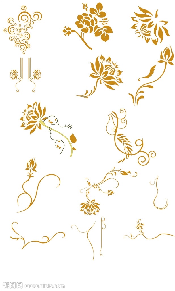 倾慕花 花边 花素材 矢量花 花底纹 底纹边框 花边花纹