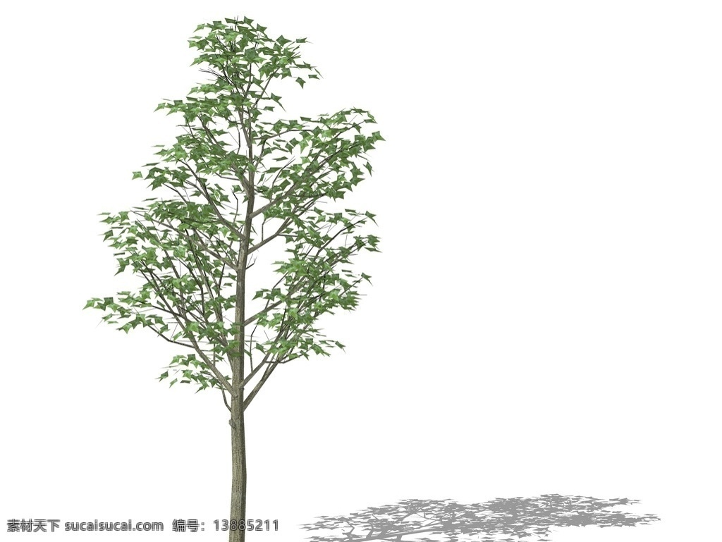 su植物模型 su植物素材 sketchup 植物 su树 3d植物模型 景观设计 园林设计 植物素材 su配景 skp植物 草图大师植物 景观 su模型 su3d树 su植物 环境设计 skp