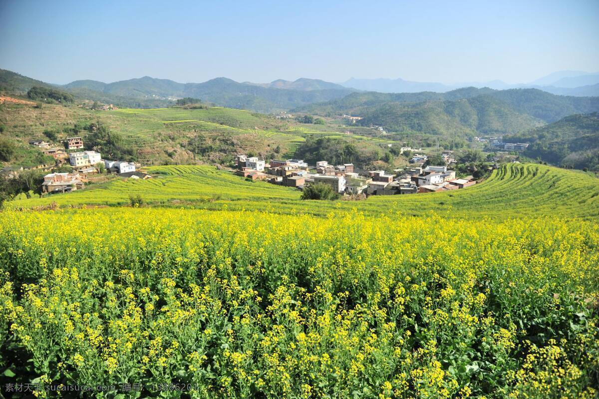 春光明媚 春天 大山 风光 风景 风情 农村 农田 油菜花 盛开 阳春三月 田园 庄稼 山村 山庄 原生态 生态旅游 青山 清新 心旷神怡 田园风光 自然景观 psd源文件