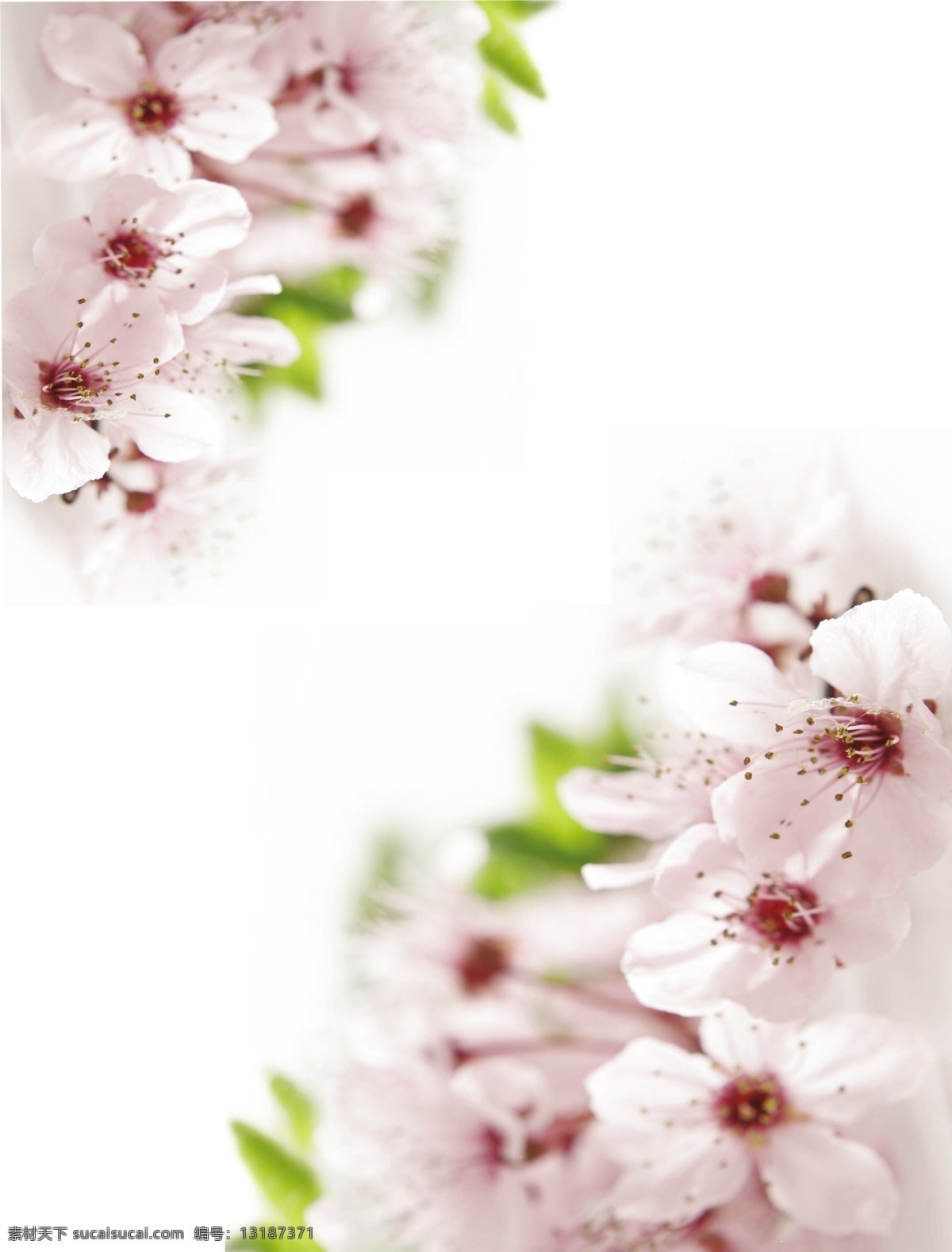 909 时尚 花纹 底纹 背景 移门 宝利和 花朵 单门图 白色