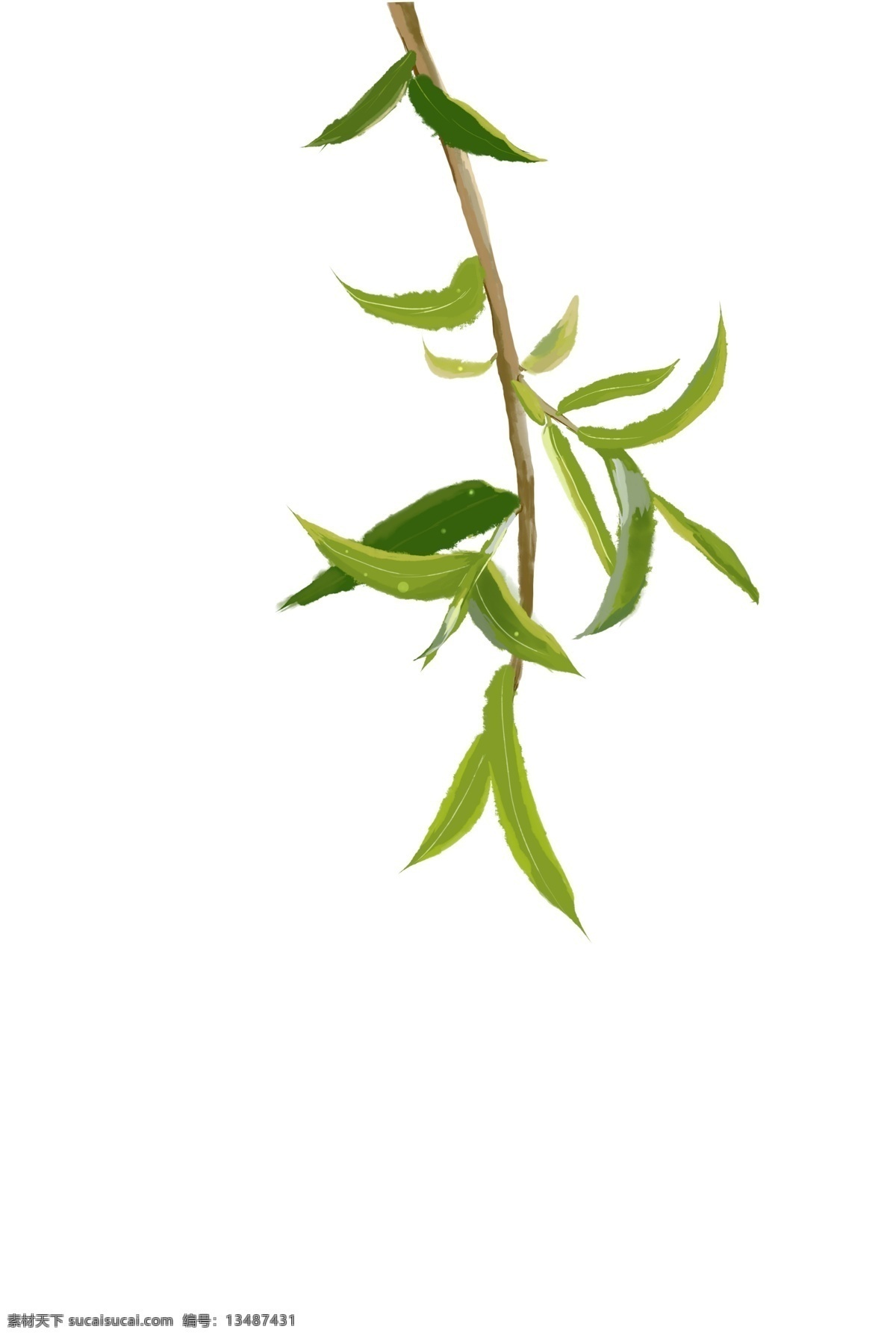手绘 柳树 清明节 装饰 漂浮柳叶 手绘风吹柳叶 清明节装饰 柳枝 柳条 清明节海报