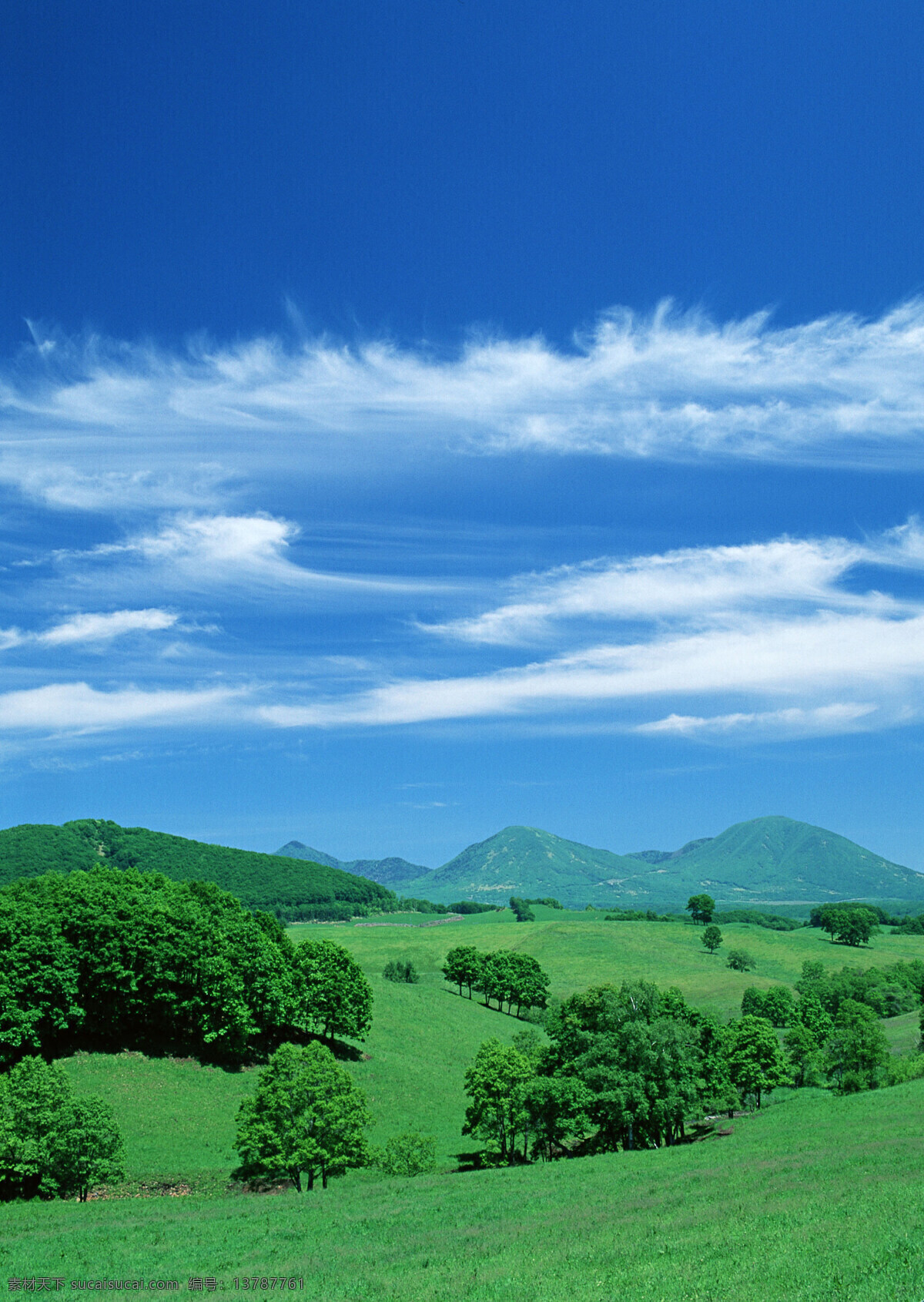 蓝天 白云 绿地 树林 绿草坪 树木 自然景观 自然风景 摄影图库