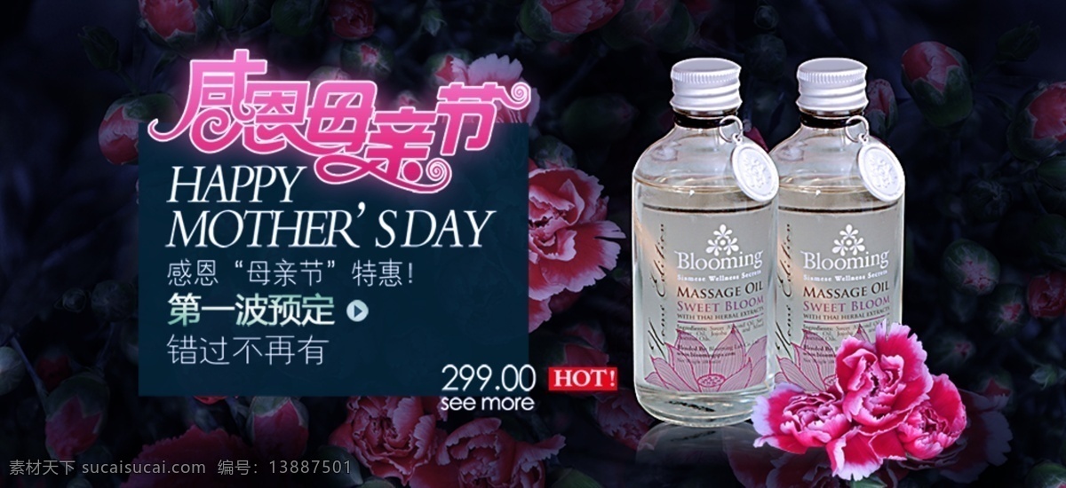 母亲节 欢迎 模块 欢迎模 块设计