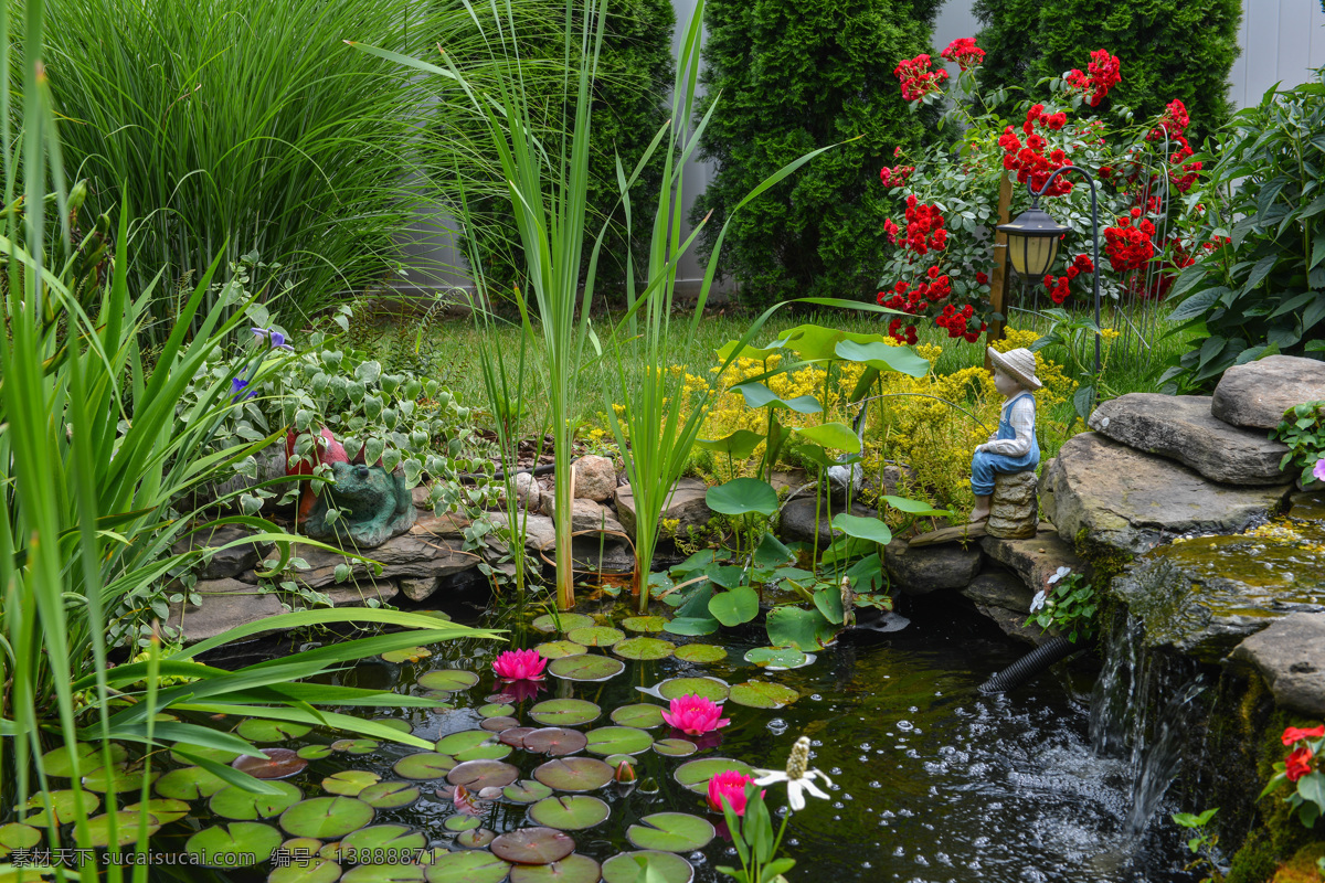 美丽 莲花 水池 水池景色 自然风景 莲花水池 公园风景 其他类别 生活百科