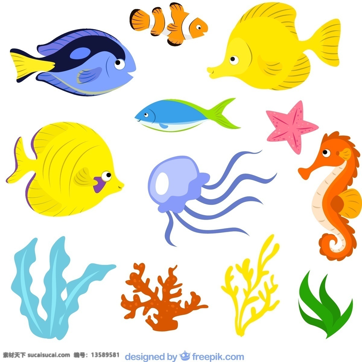 卡通海洋生物 小丑鱼 水母 海星 海马 珊瑚 水草 鱼 海洋生物 大海 白色