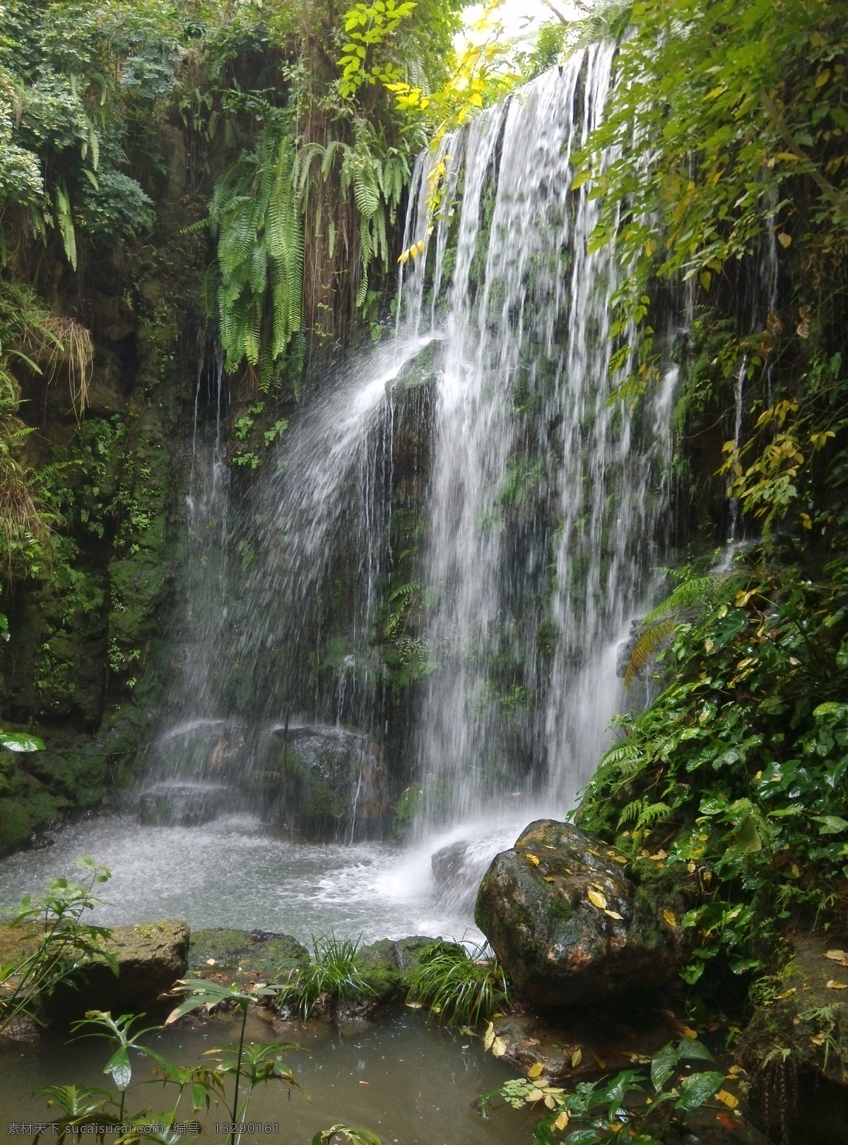 山水 瀑布 华南植物园 水 植物 草 自然景观 山水风景