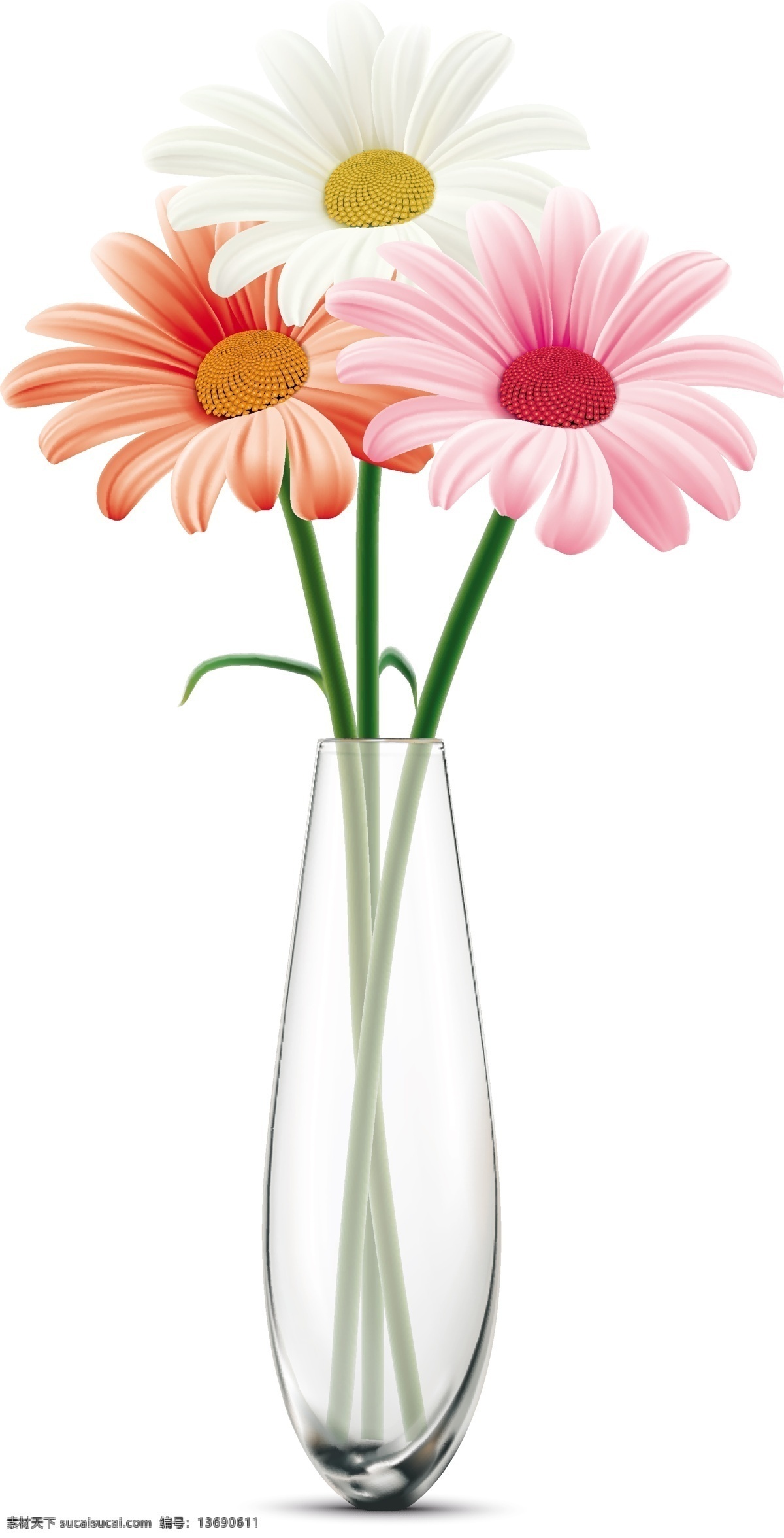 透明 花瓶 里 彩色 花朵 矢量 透明花瓶 彩色花朵 花艺 插花 装饰 花卉 漂亮的花朵 唯美 清新花朵 花卉植物 矢量素材