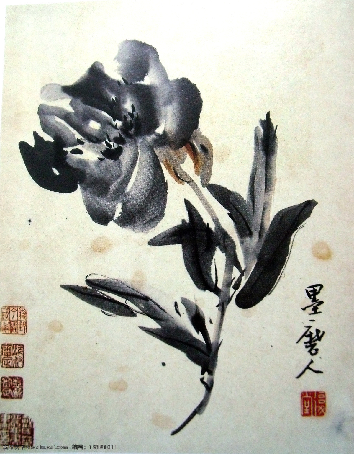 彩墨画 工笔画 国画 花草 花朵 绘画书法 设计素材 树叶 图文结合 文字墨磨人 印章 写意画 美术国画 水墨画 文化艺术 中国工笔画 家居装饰素材 雕刻 图案