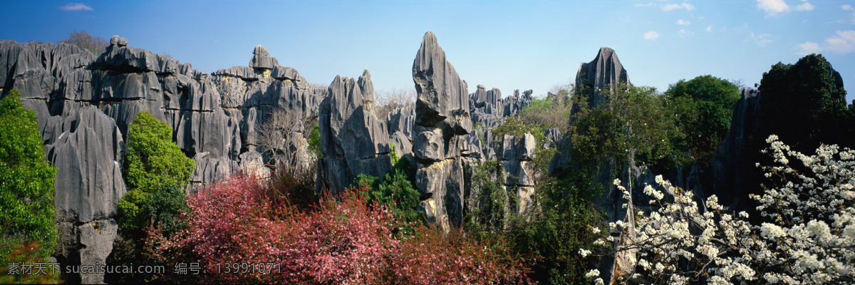 巨幅 石林 景观 风景图片 风景图 高清 风景 绿叶 桃花 滕蔓 巨幅风景图片 生活 旅游餐饮