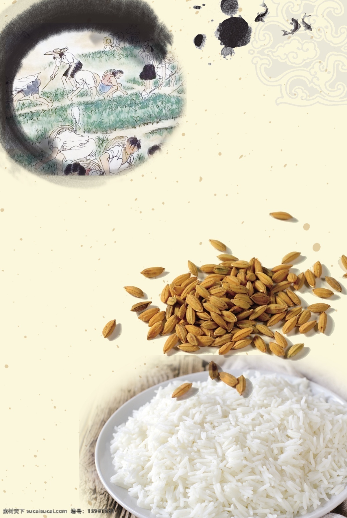 白米饭 稻谷 爱护 粮食 背景 白米饭与稻谷 爱护粮食背景 淡黄色背景