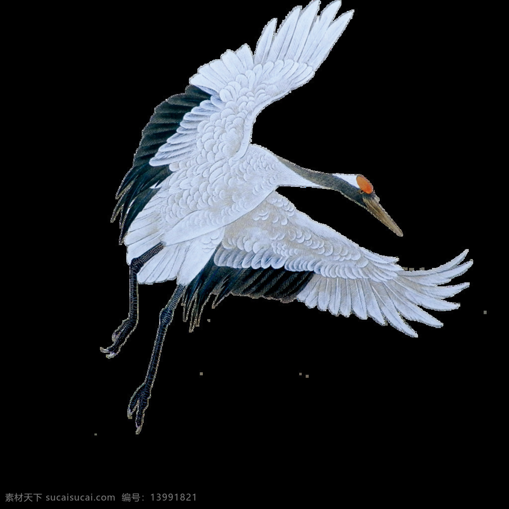 飞起 白鹤 元素 设计素材 白色 鸟类 设计元素 矢量素材 装饰素材 装饰图案 png元素 效果素材 png效果图